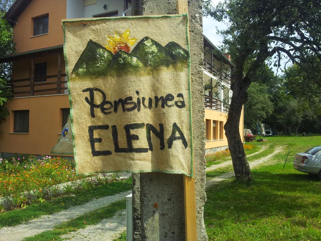 Pensiunea Elena Vistisoara ห้อง รูปภาพ