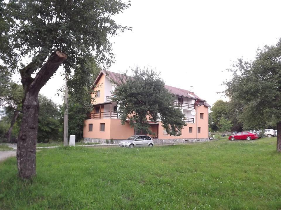 Pensiunea Elena Vistisoara ภายนอก รูปภาพ