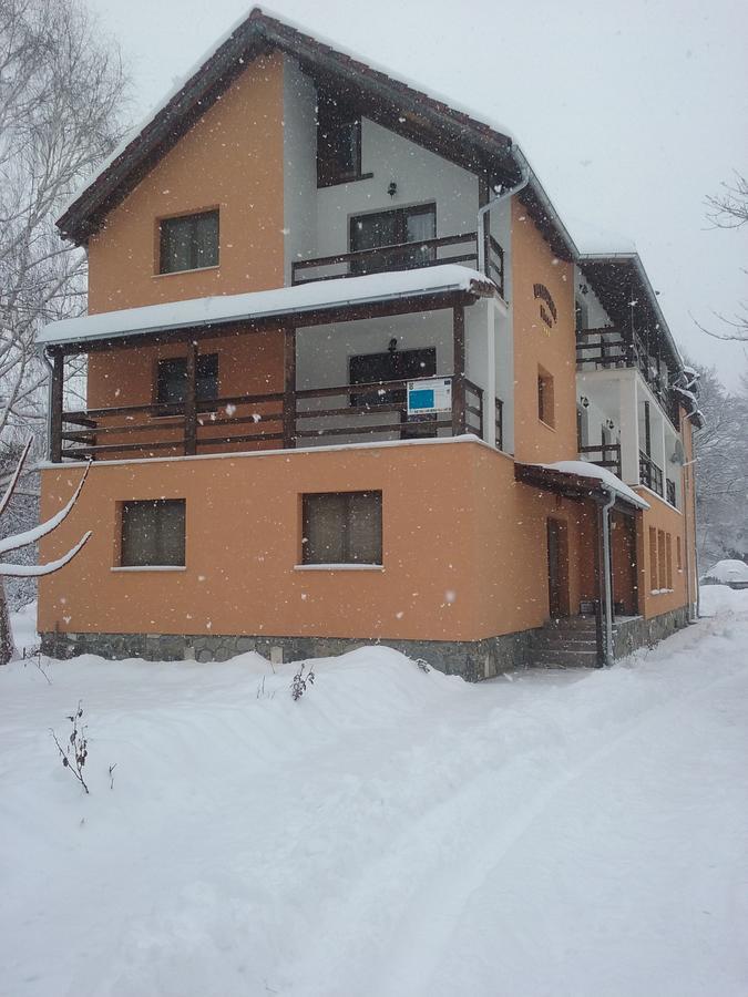 Pensiunea Elena Vistisoara ภายนอก รูปภาพ
