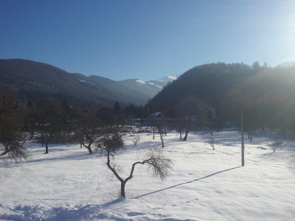 Pensiunea Elena Vistisoara ภายนอก รูปภาพ