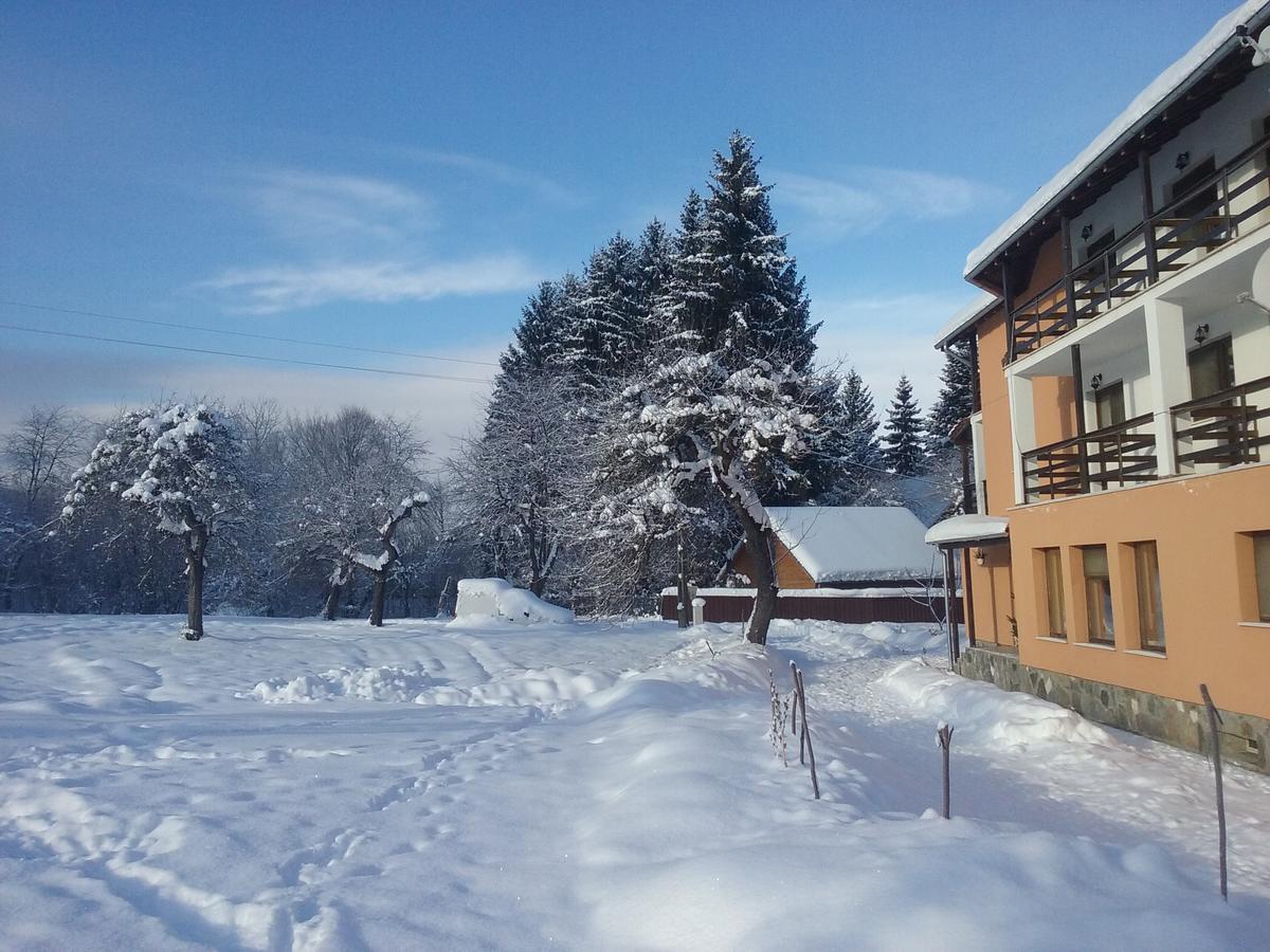 Pensiunea Elena Vistisoara ภายนอก รูปภาพ