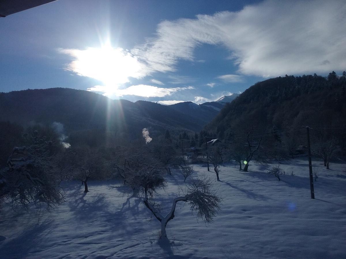 Pensiunea Elena Vistisoara ภายนอก รูปภาพ