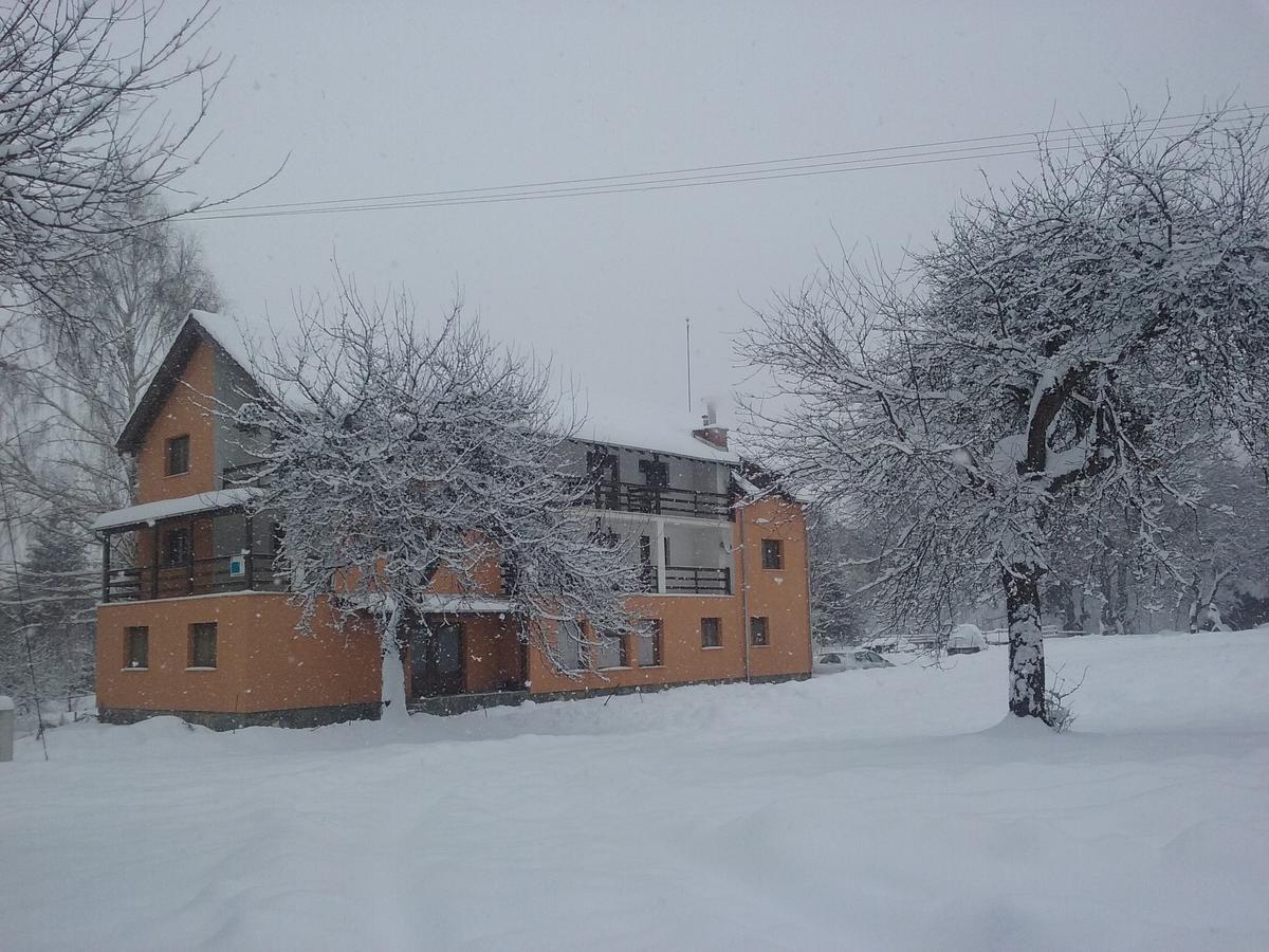 Pensiunea Elena Vistisoara ภายนอก รูปภาพ